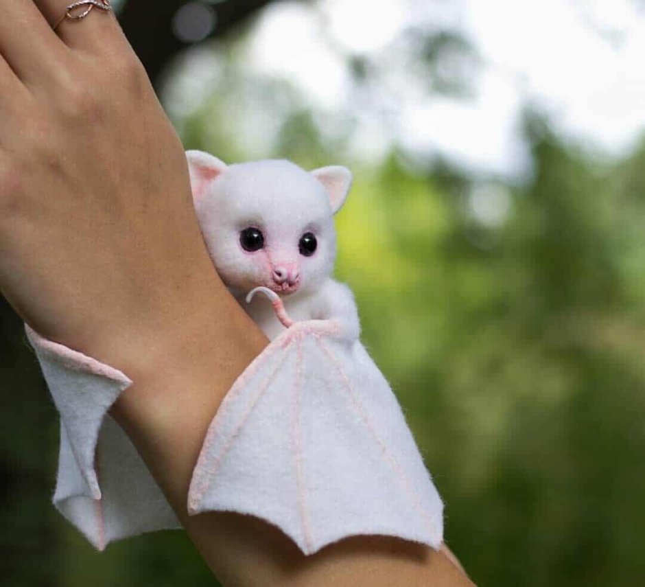 Baby Albino Vampire Plushie