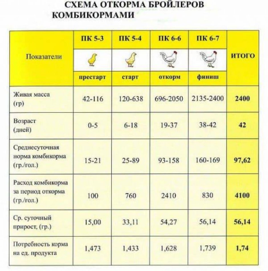 Схема кормления бройлеров комбикормами