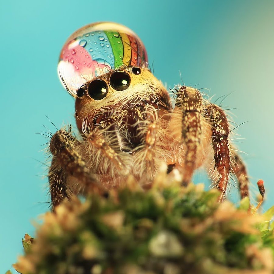 Что то интересное