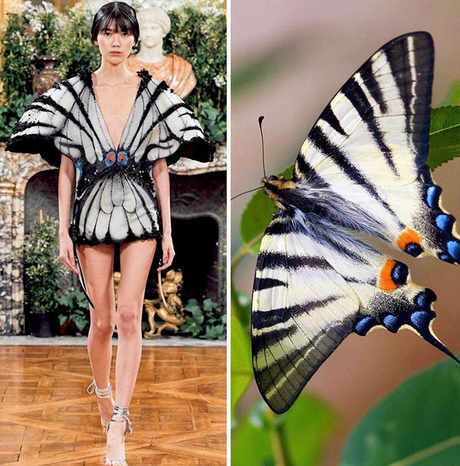 Таракан рисунок для детей