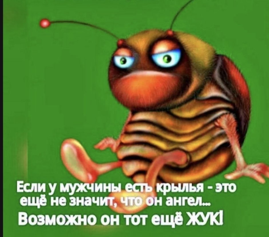 Шутка про жука