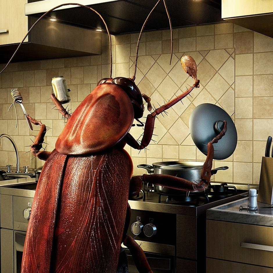 Горбатый калоед Мем