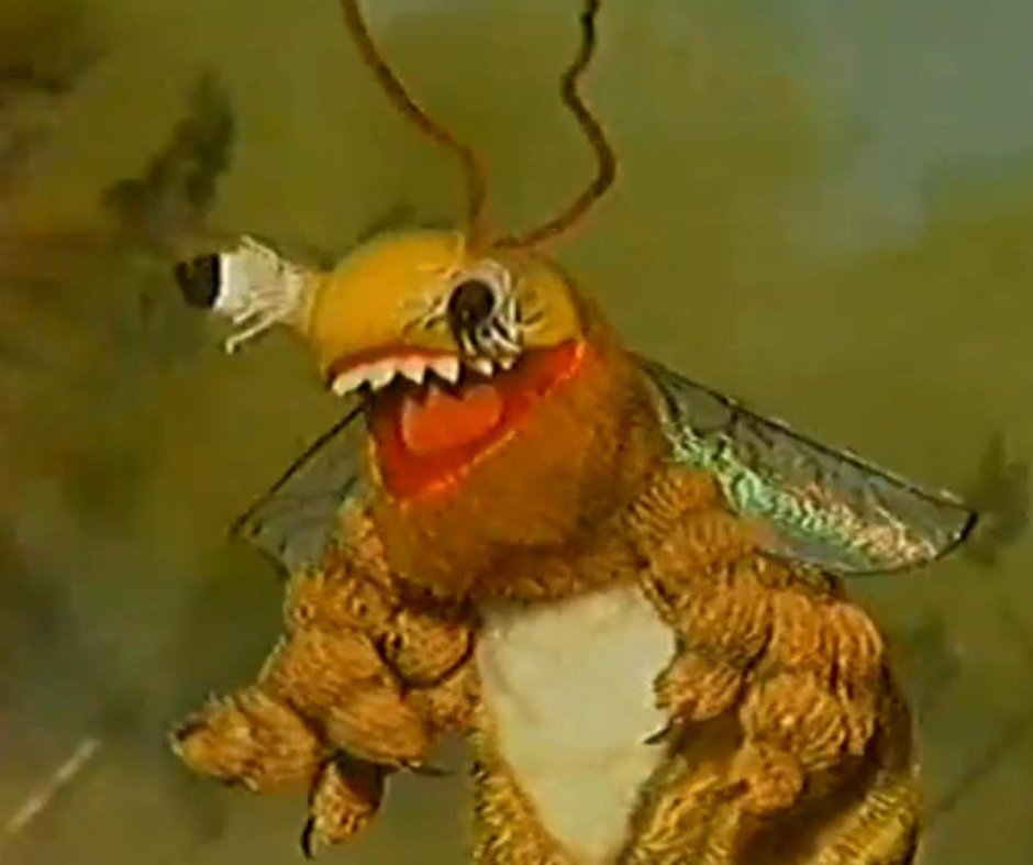 Зачеркнутый таракан