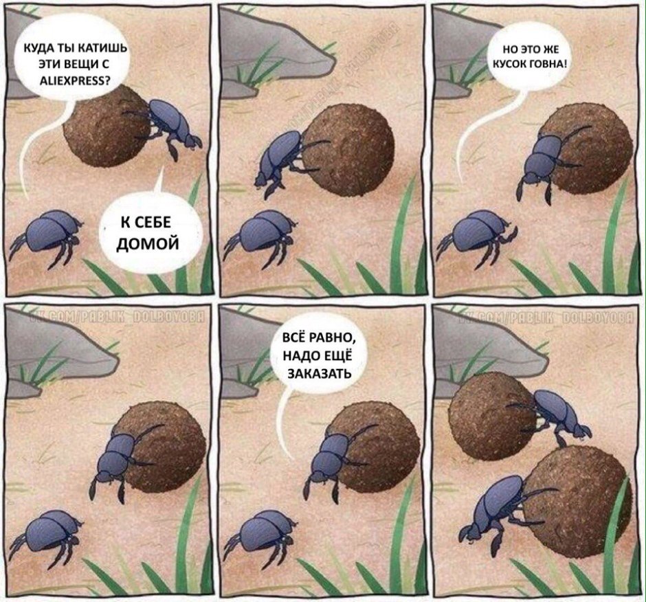 Жук бронзовка Африканская