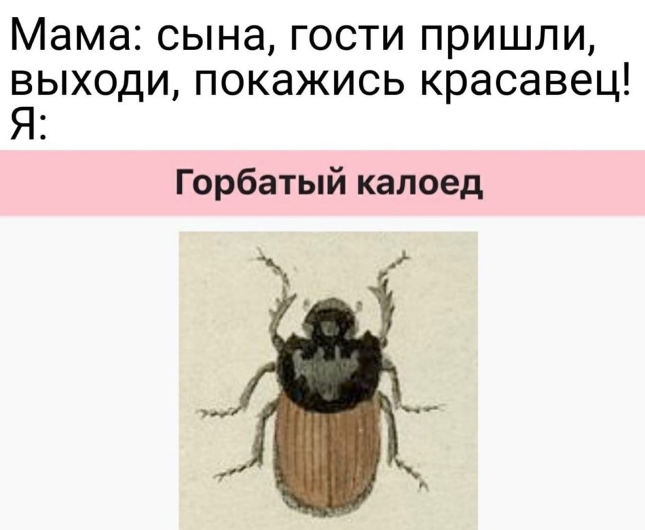 Если мужчина прилетел на крыльях любви это совсем не