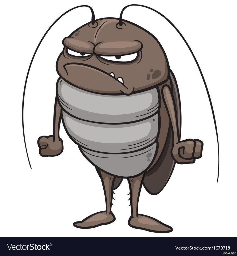 Жук для детей