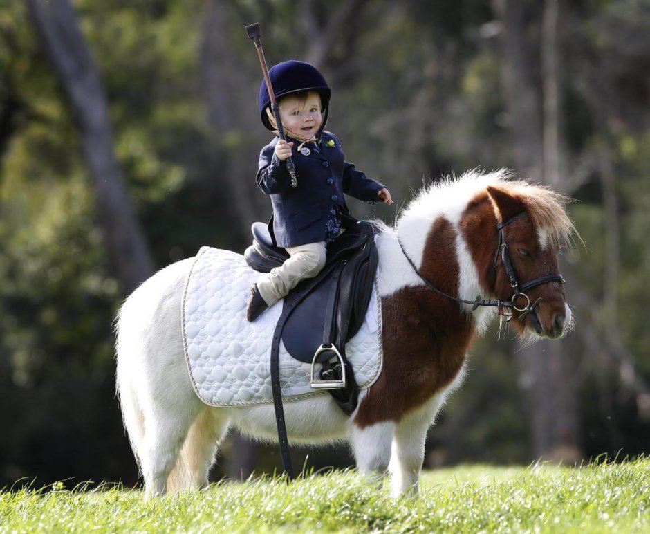Riding Mini Pony