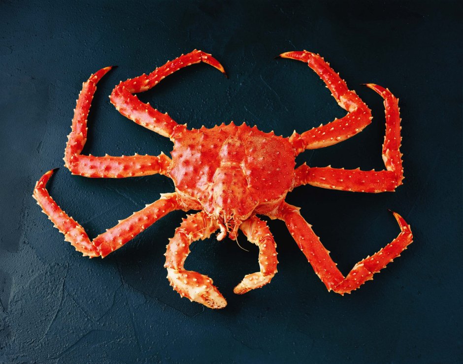 Крабы в Балтийском море