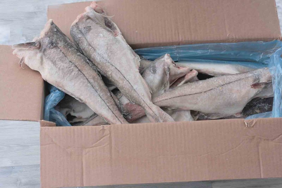 Аляскинский минтай