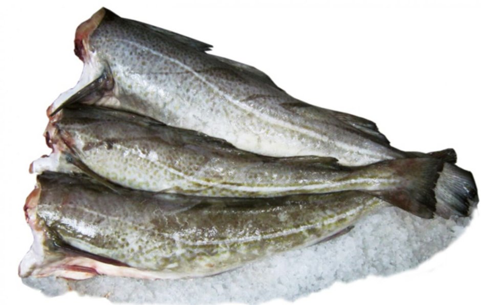 Филе трески на белом фоне