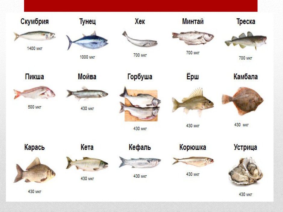 Треска и пикша