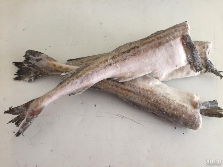 Рыба мороженая пикша