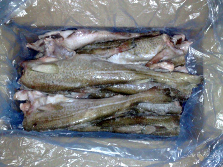 Филе трески и судака