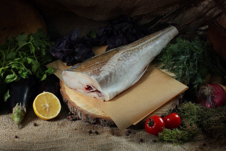 Пикша Мурманская