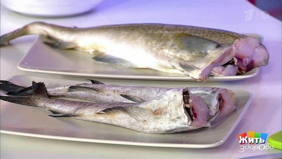 Рыба навага, минтай, хек