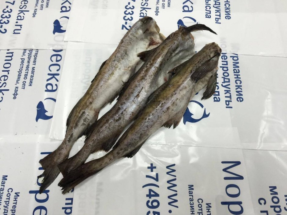 Рыба минтай и пикша