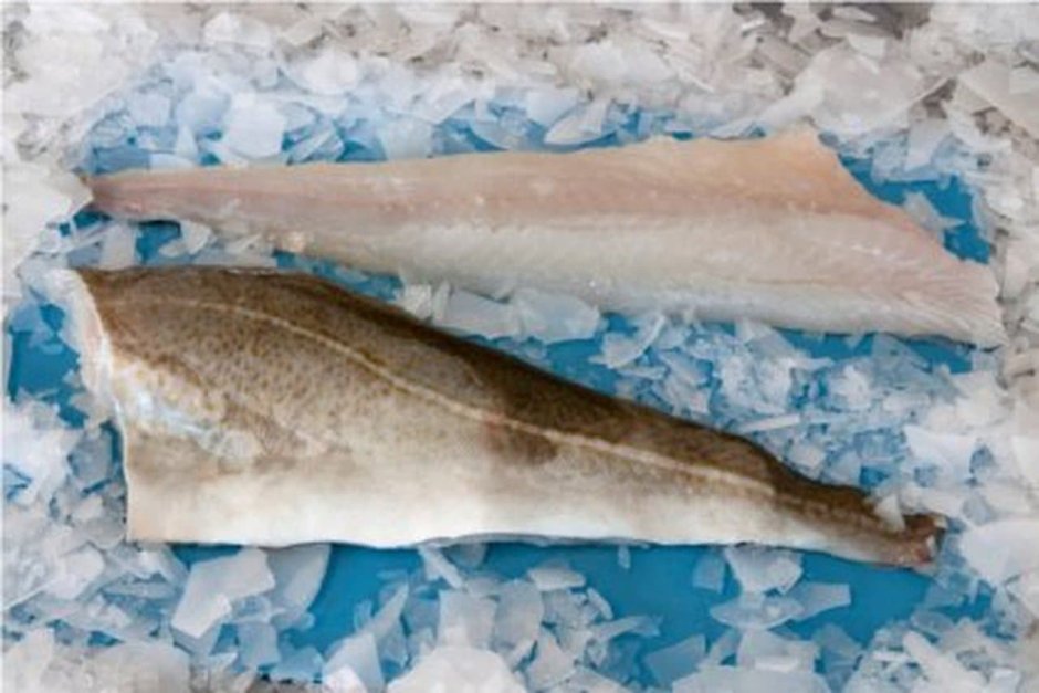 Филе судака (замороженное)