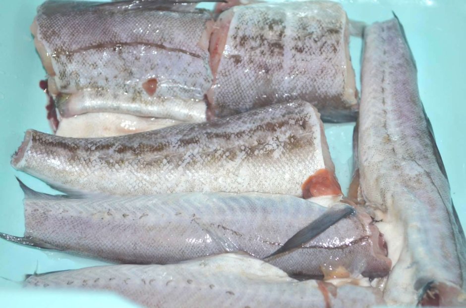 Филе трески лойны спинки