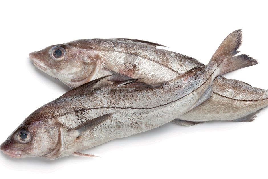 Пикша свежемороженая