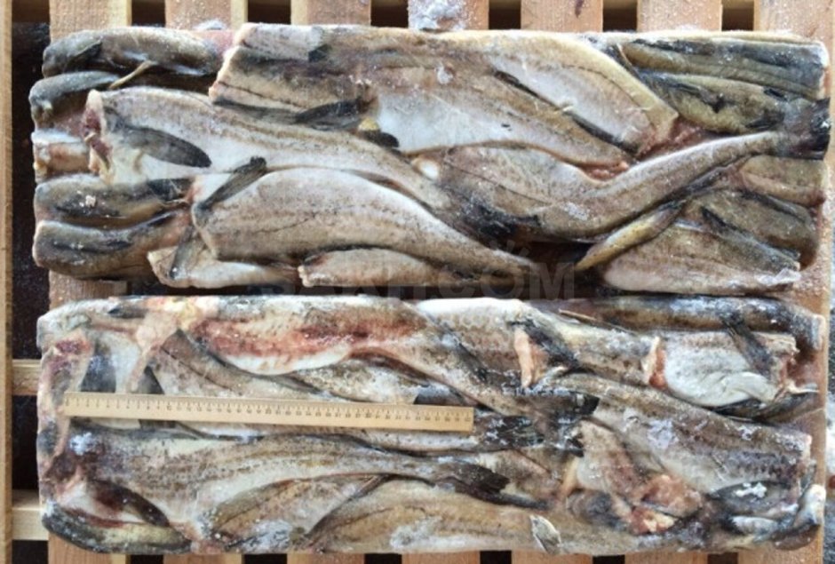 Филе трески Еврофиш 6.81