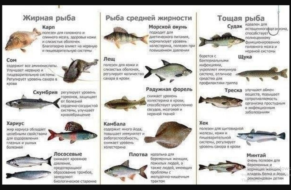 Рыба минтай в сметанном соусе