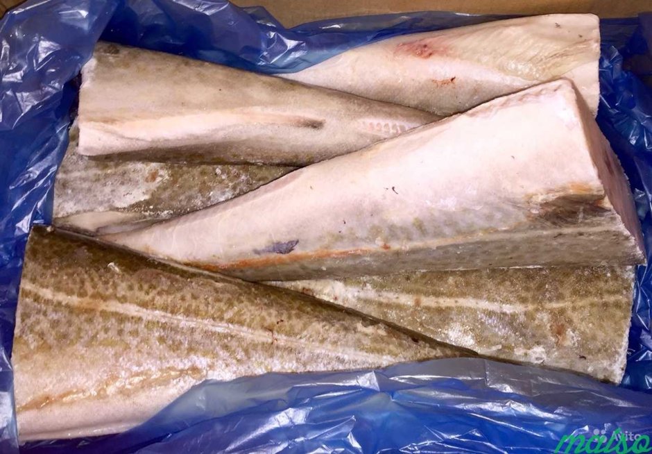 Беломорская треска