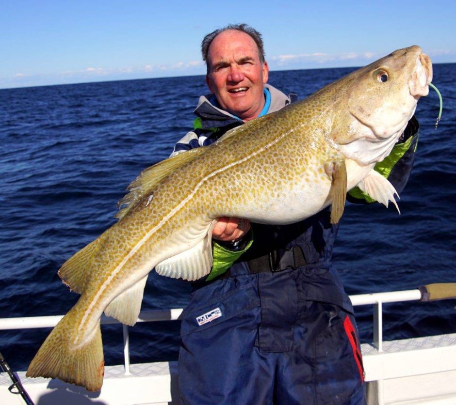 Минтай филе Polar порционное 400г