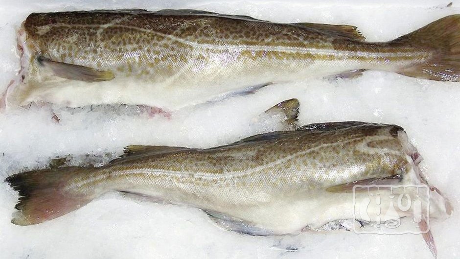 Минтай тушка замороженная