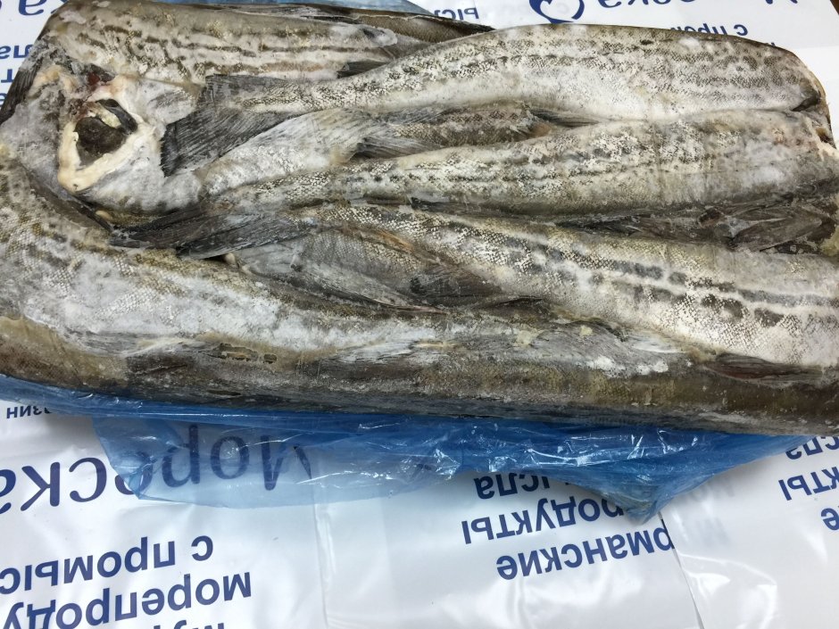 Филе Люциана