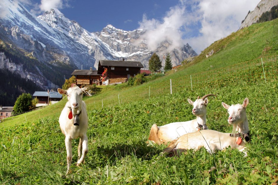 Gimmelwald Switzerland