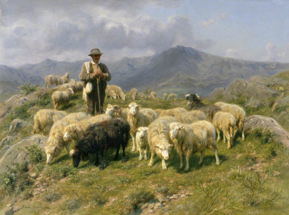 Роза бонёр Landscape