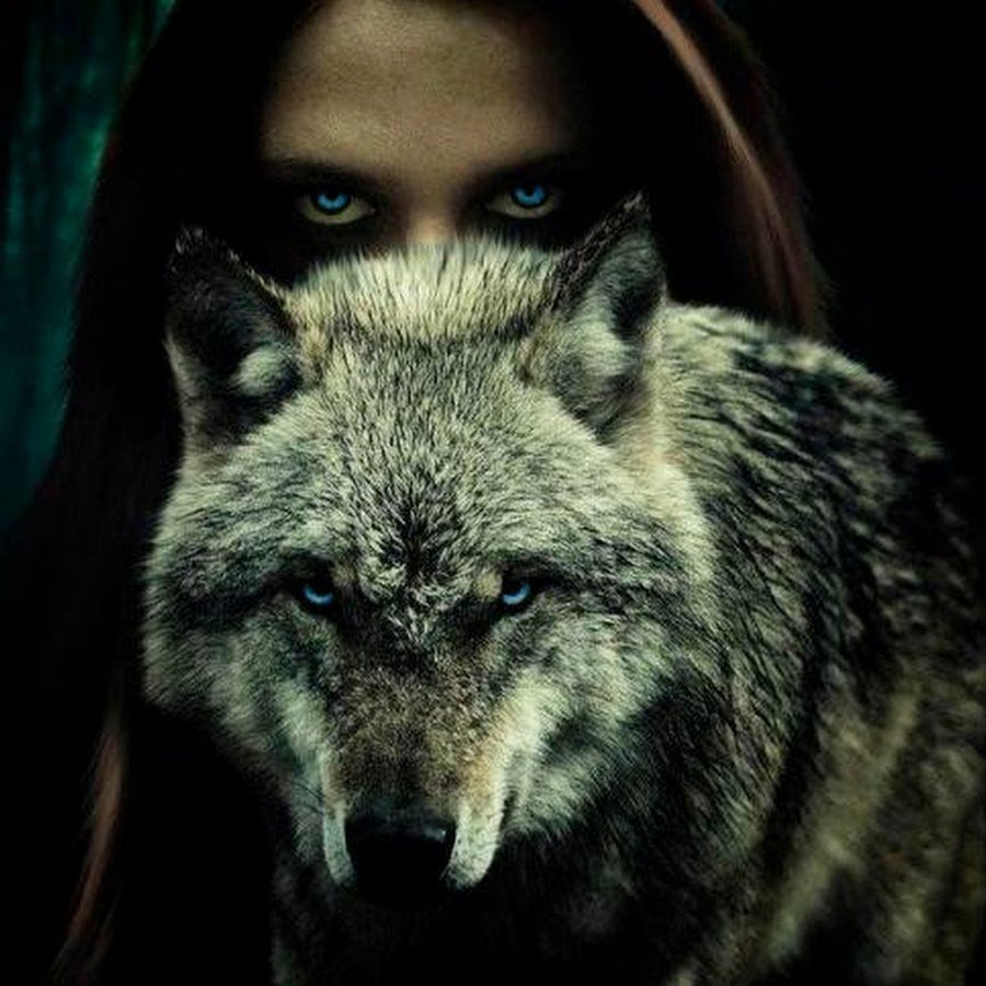 Волчица одиночка