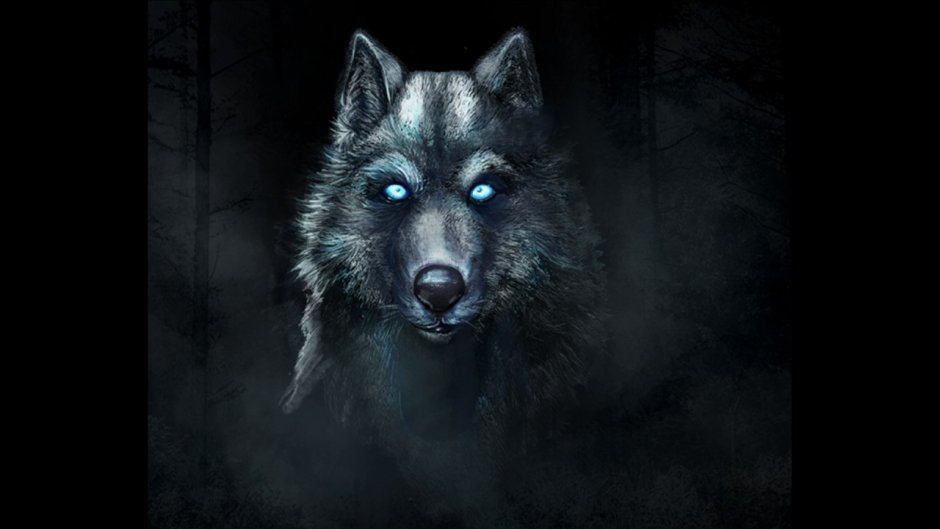 Волк на аву