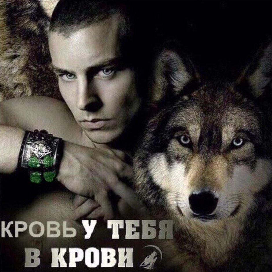 Дженсен Эклз с животными