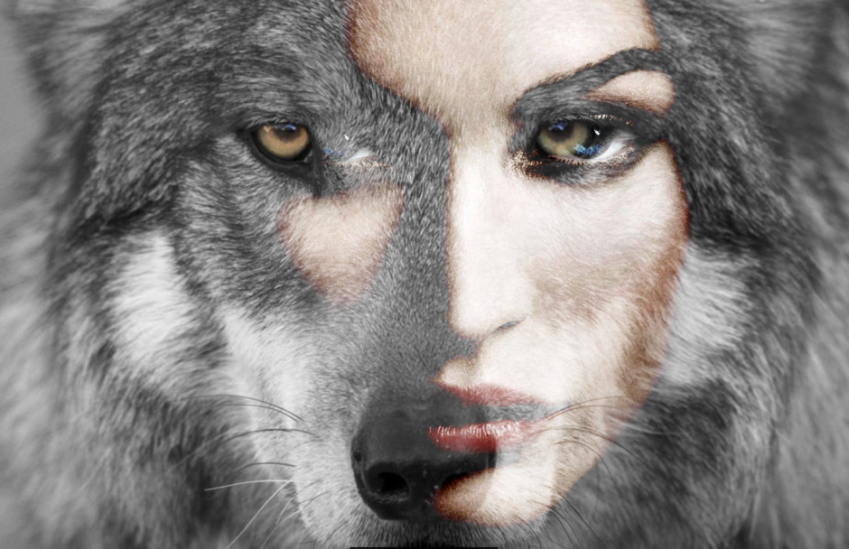 Лицо волка