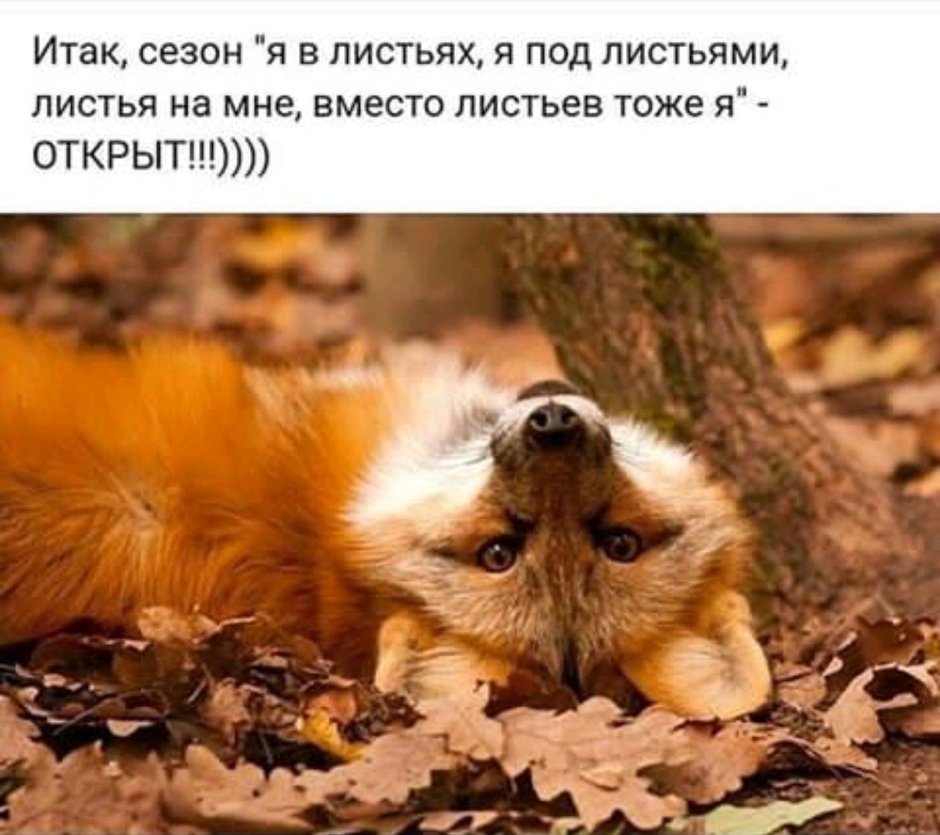 Рыжеволосая девушка с лисой