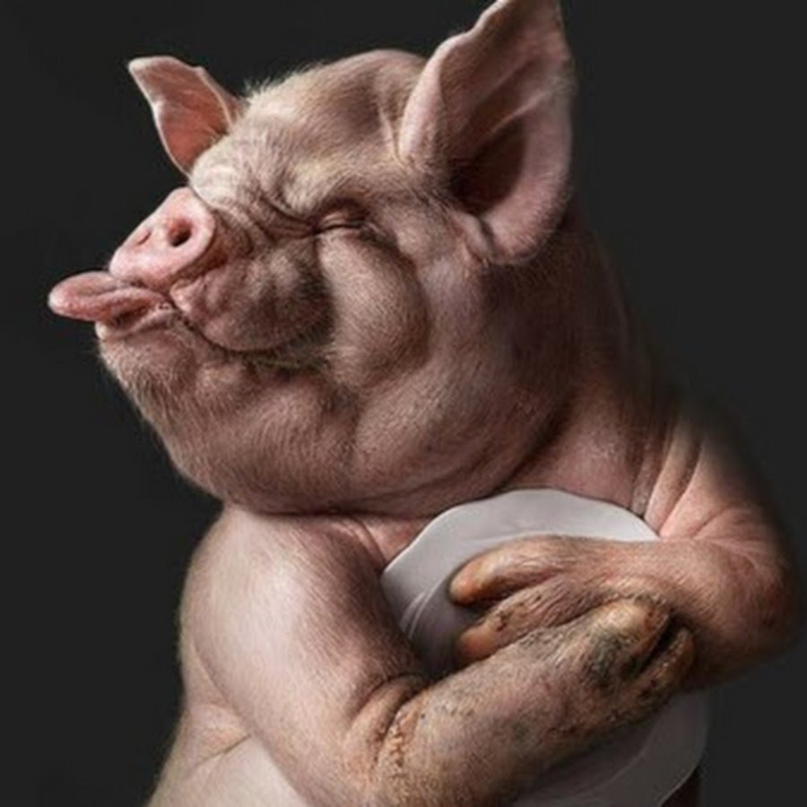 Поросенок в профиль