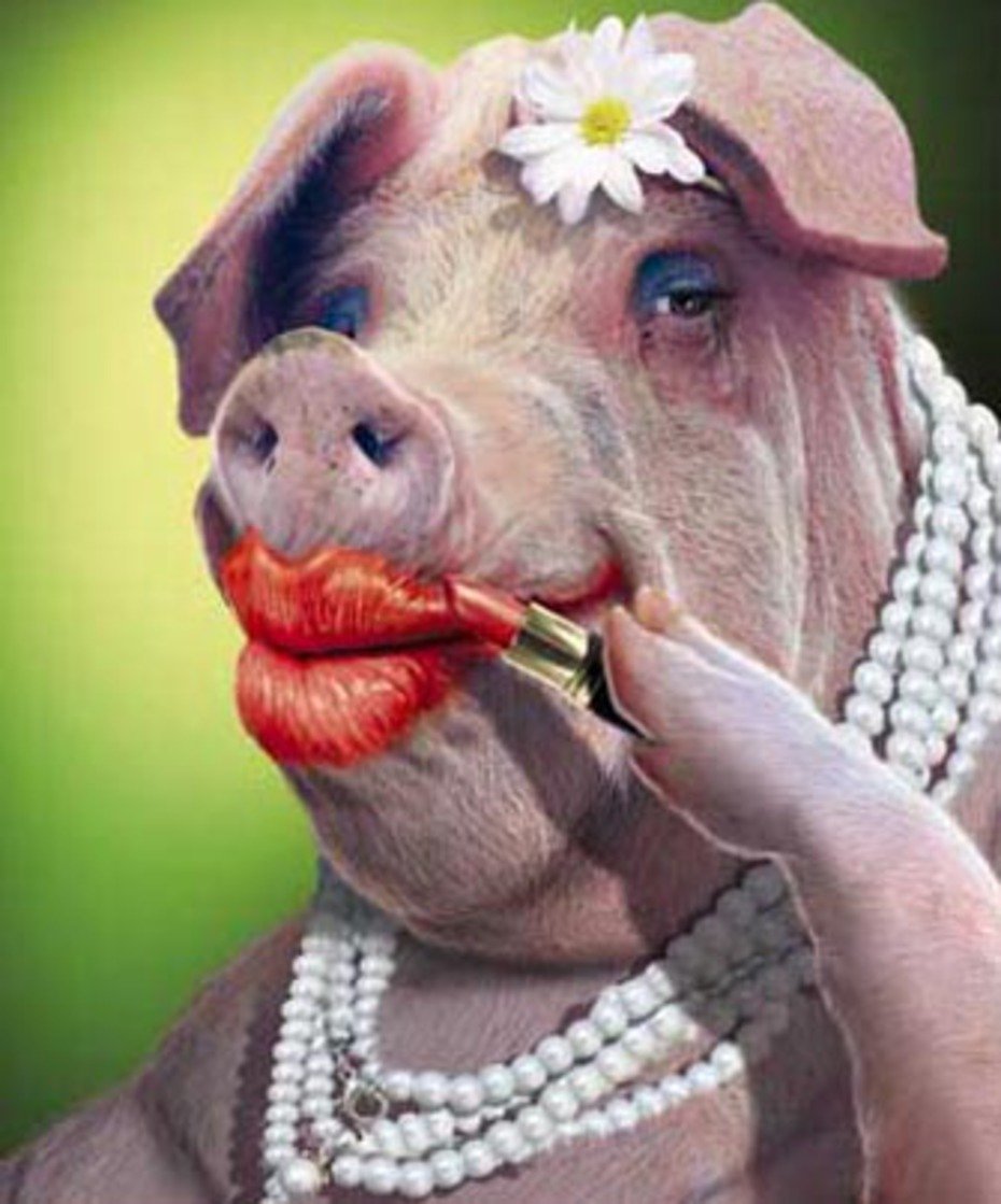 Накрашенная корова