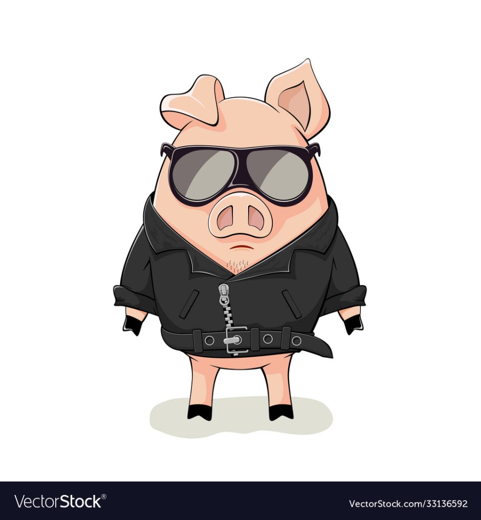 Свинья в куртке