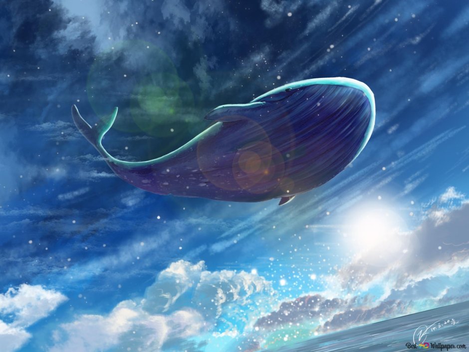 Летающие киты арт