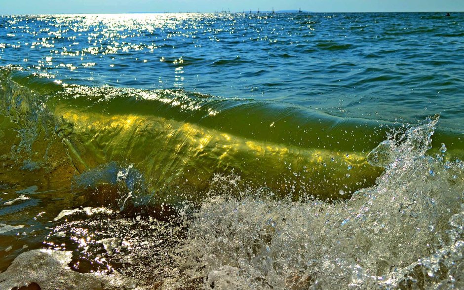 Должанская коса Азовское море ракушечный берег
