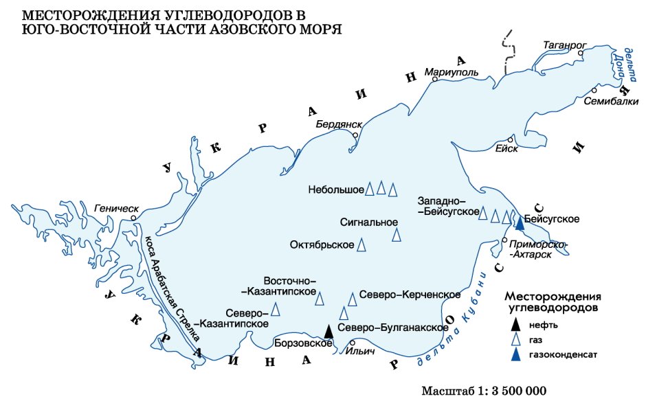 Анастасия Морское побережье
