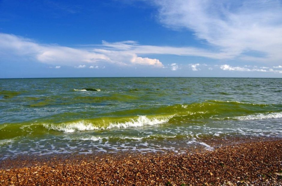 Медузы в черном море Джемете