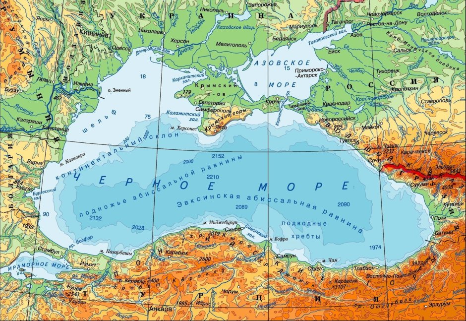 Средиземное море подводный мир