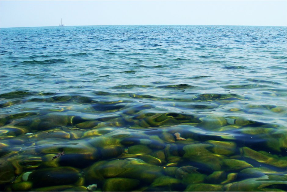 Остров Бирючий на Азовском море