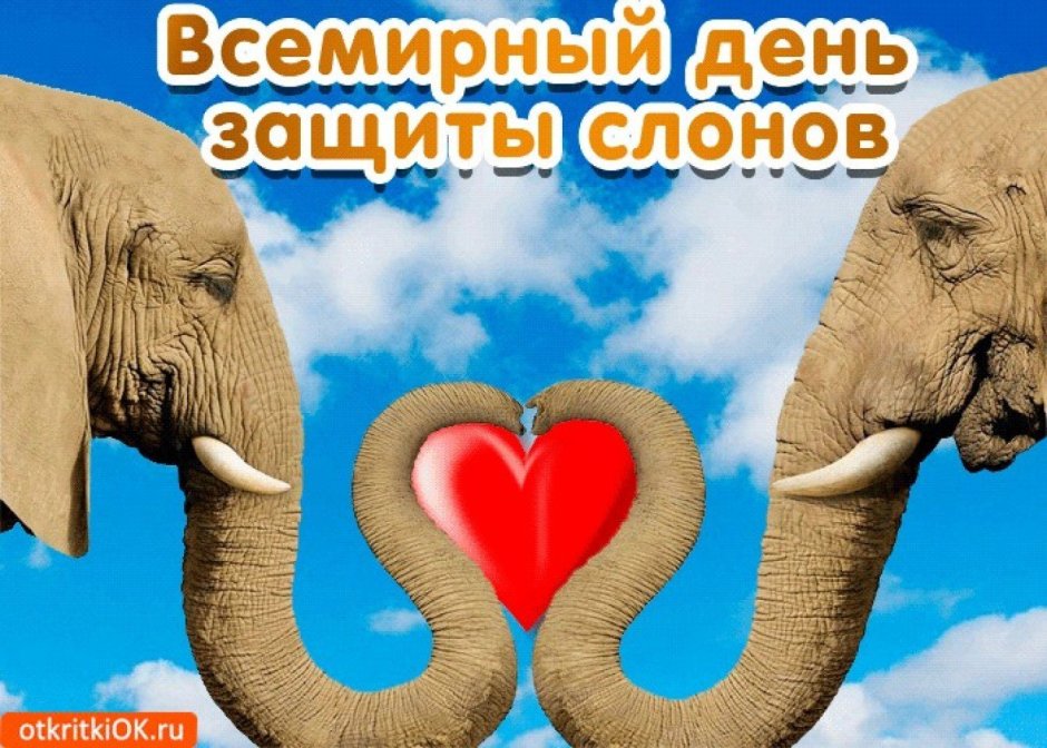 Описание слона