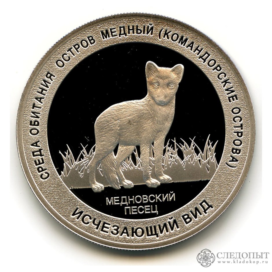 Шпицбергенский песец