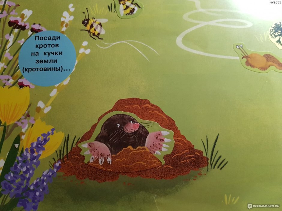 Крот и его друзья