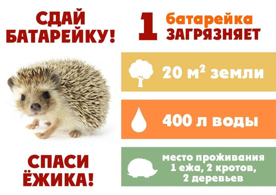 Спокойной ночи Ежик в тумане