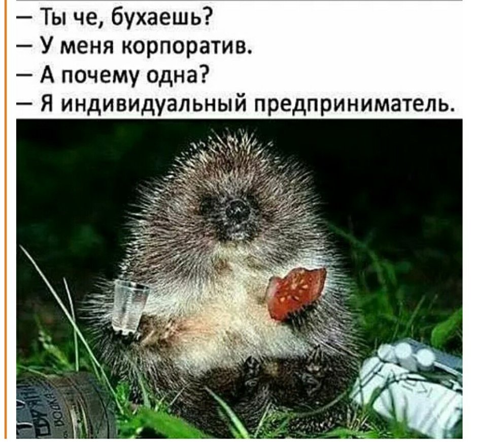 Мультфильм Кротик Чехословакия
